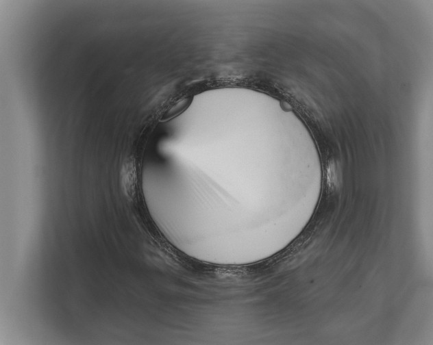 X0000111941299200908171249