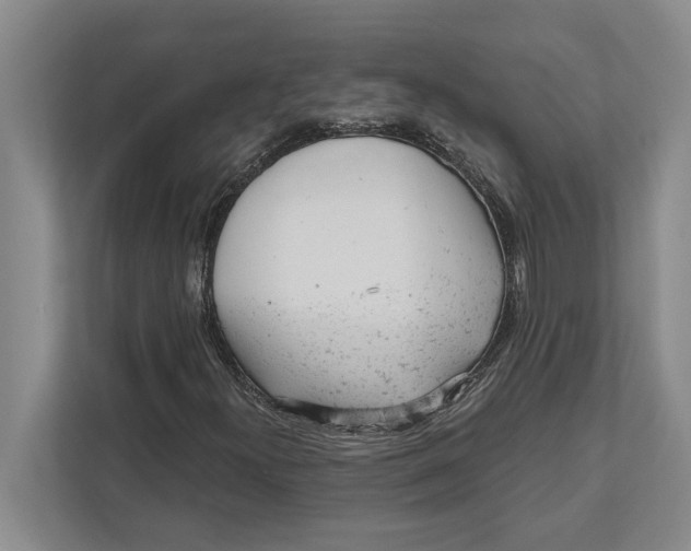 X0000111941300200908171249