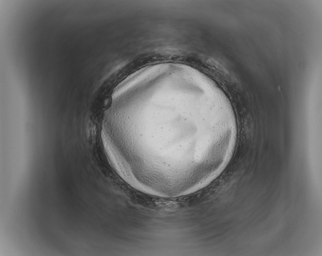 X0000111941302200908171249