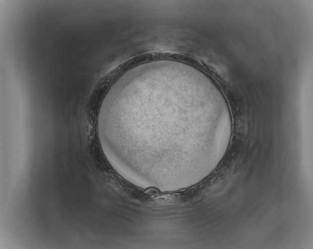 X0000111941303200908171249