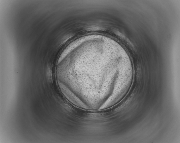 X0000111941305200908171249