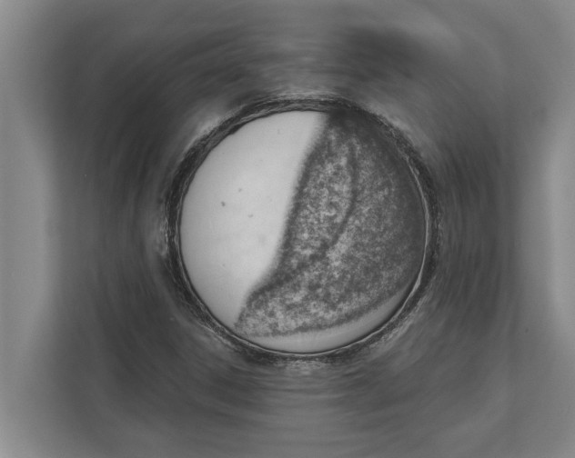 X0000111941306200908171249