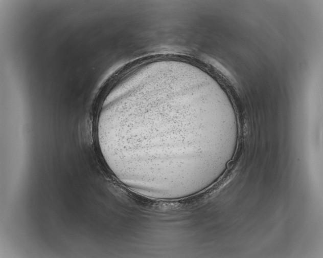 X0000111941310200908171249