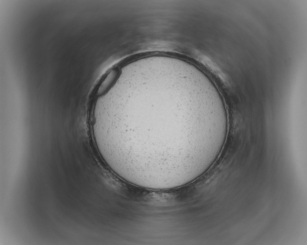 X0000111941312200908171249