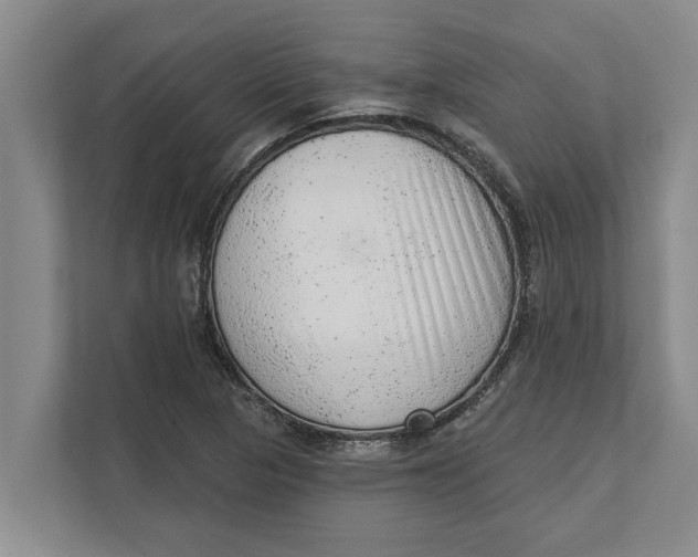 X0000111941313200908171249