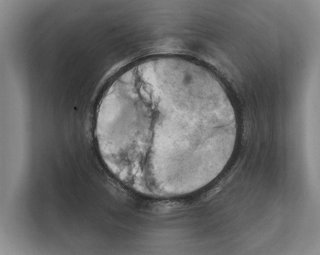 X0000111941314200908171249