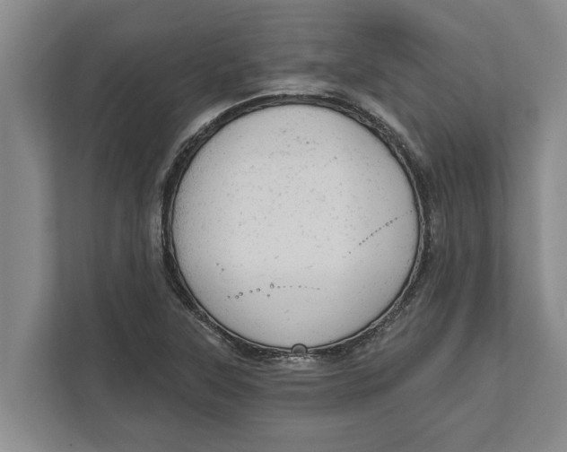 X0000111941315200908171249