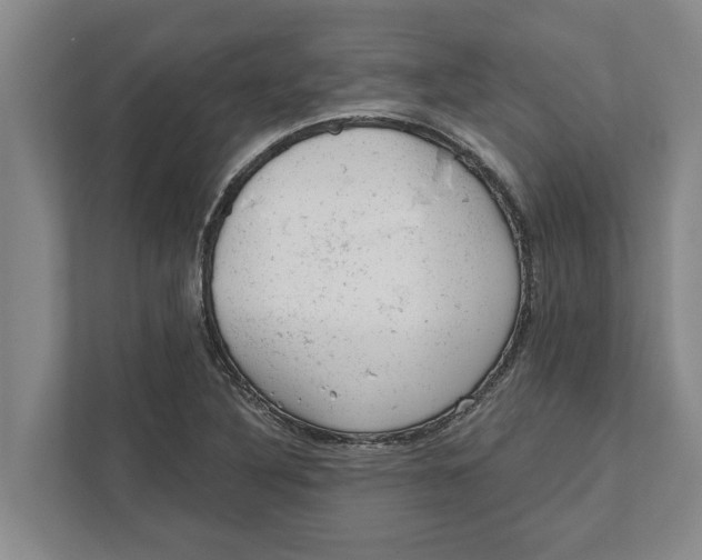 X0000111941316200908171249