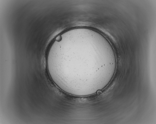 X0000111941317200908171249