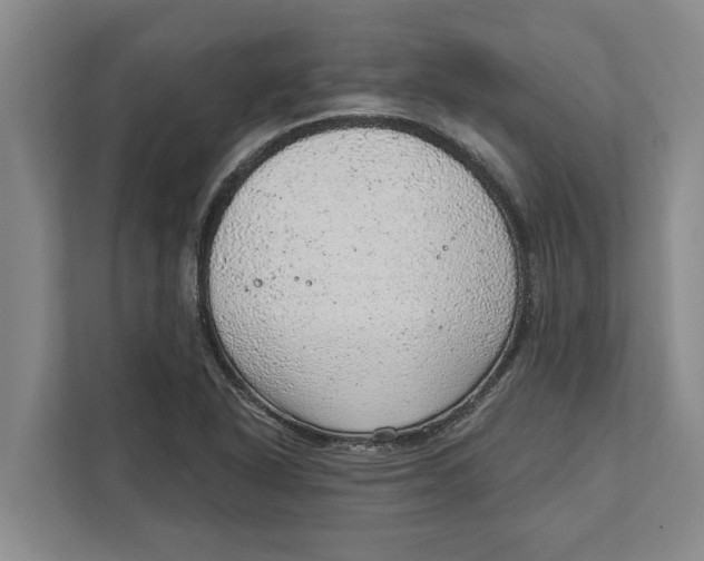 X0000111941318200908171249