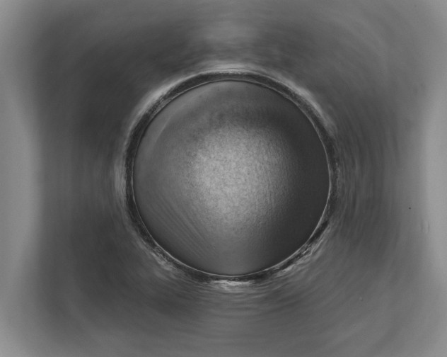 X0000111941319200908171249