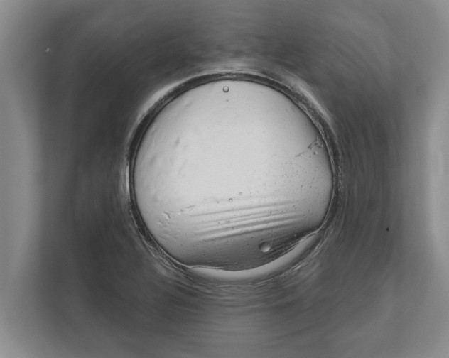 X0000111941320200908171249