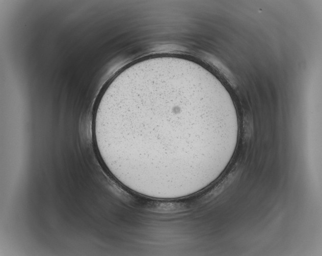 X0000111941322200908171249