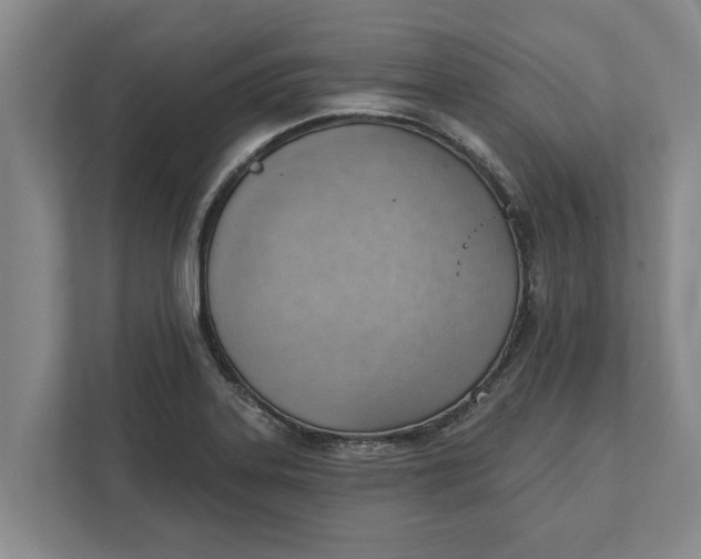 X0000111941323200908171249