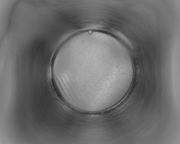 X0000111941324200908171249