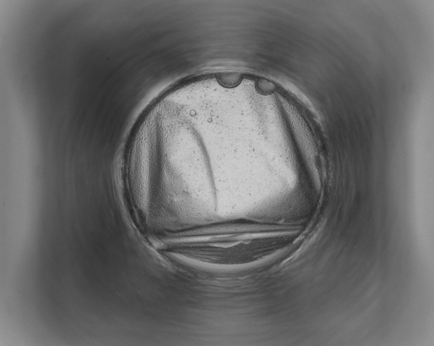 X0000111941325200908171249