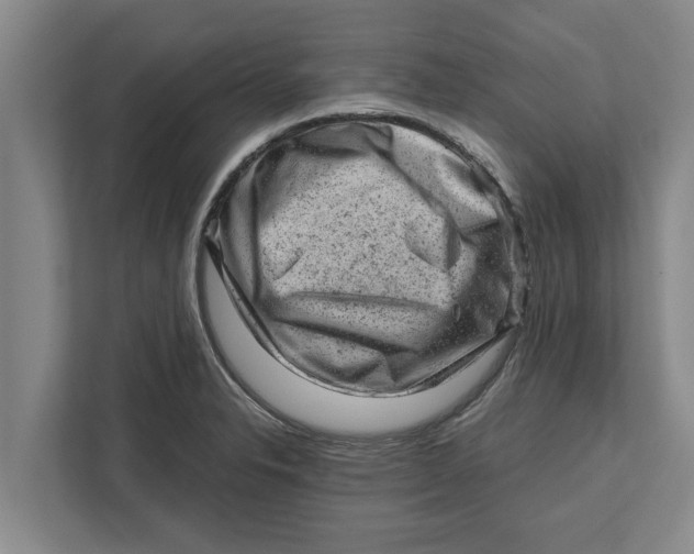 X0000111941326200908171249