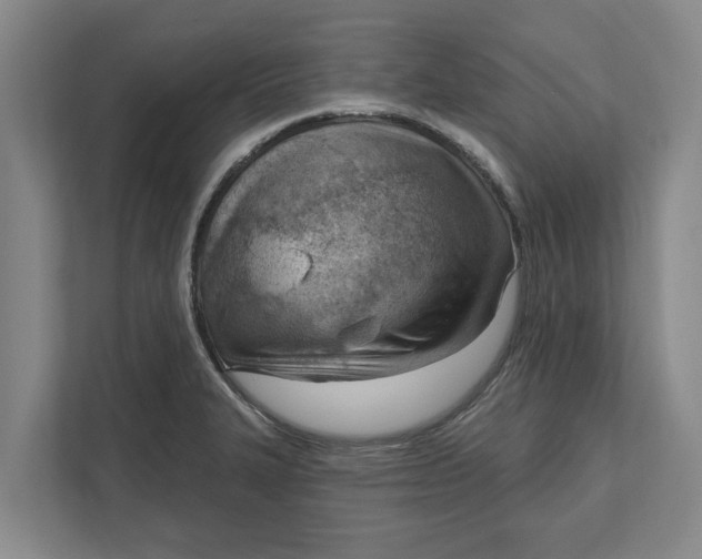 X0000111941327200908171249