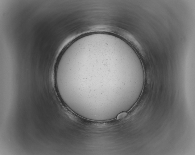 X0000111941328200908171249