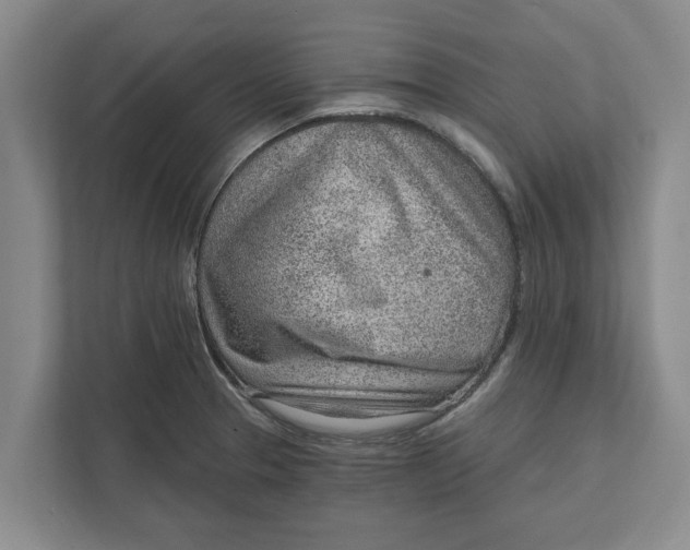 X0000111941329200908171249