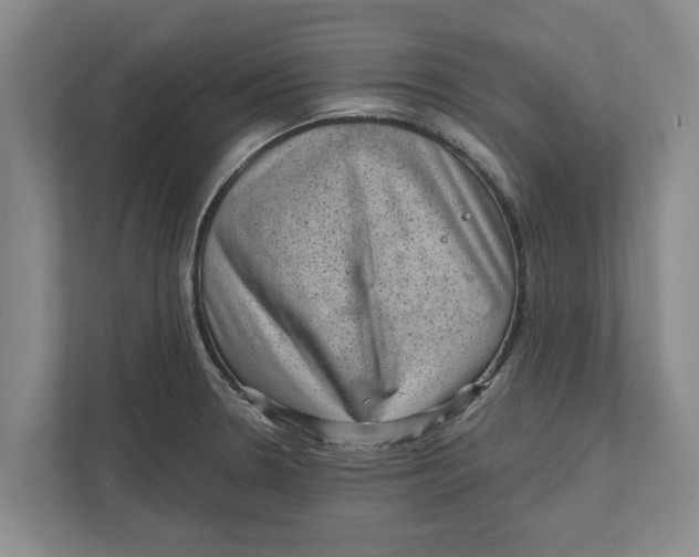 X0000111941330200908171249