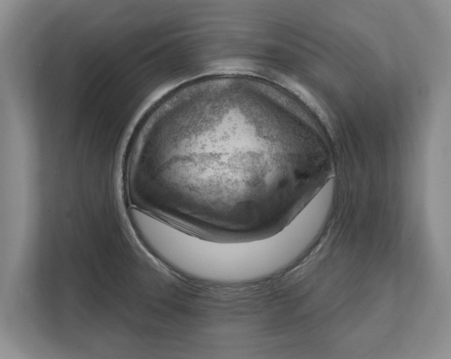 X0000111941331200908171249