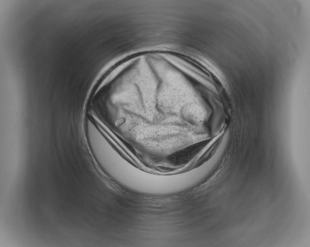 X0000111941332200908171249