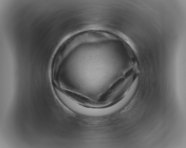 X0000111941334200908171249