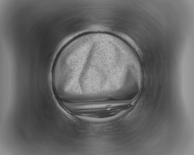 X0000111941335200908171249