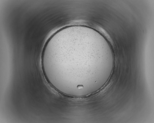 X0000111941336200908171249