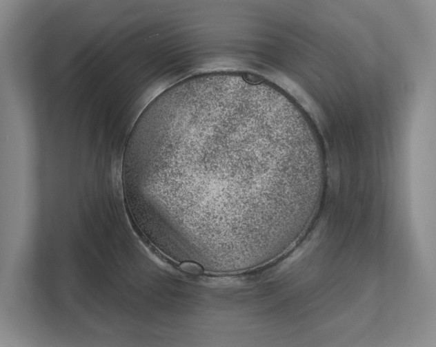 X0000111941337200908171249