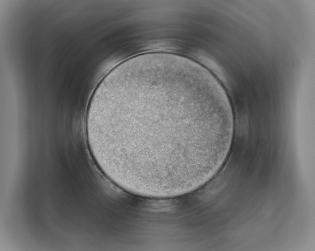 X0000111941338200908171249