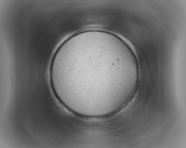 X0000111941341200908171249