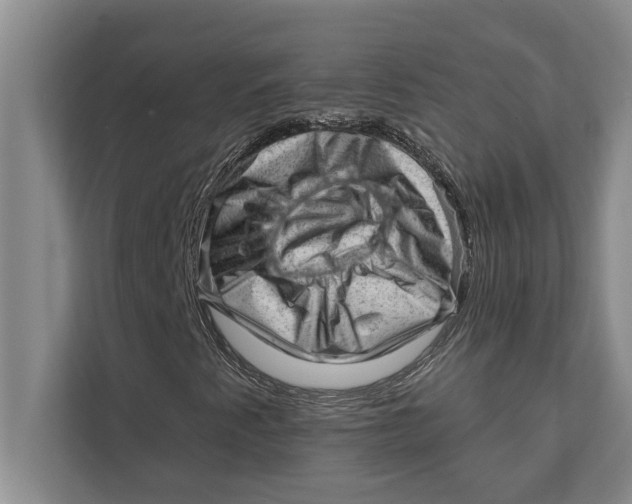 X0000111941345200908171249