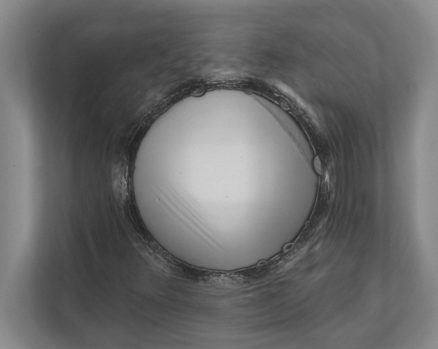 X0000111941348200908171248