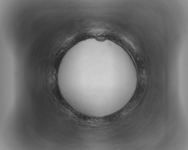 X0000111941349200908171248