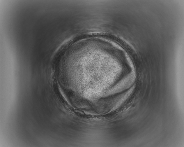 X0000111941351200908171248