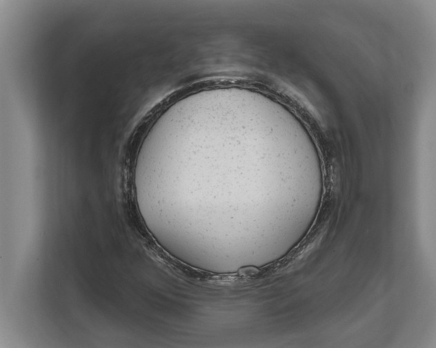 X0000111941352200908171248