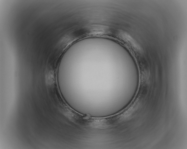 X0000111941353200908171248