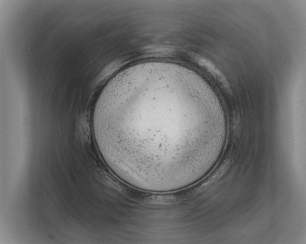 X0000111941354200908171248