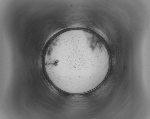 X0000111941356200908171248