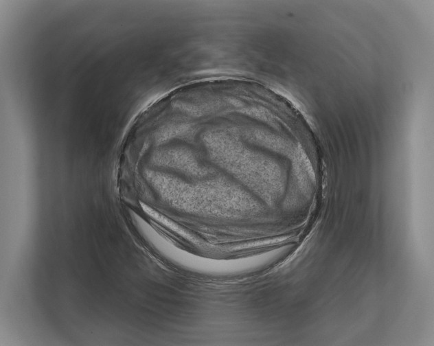 X0000111941357200908171248