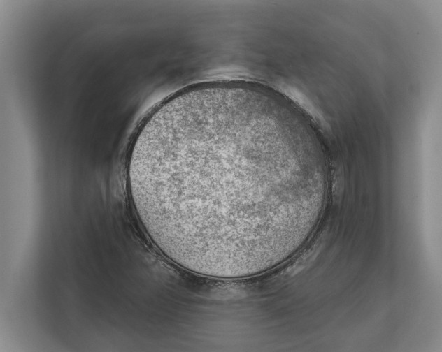 X0000111941358200908171248