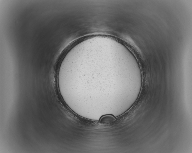 X0000111941360200908171248