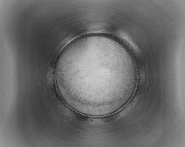 X0000111941361200908171248