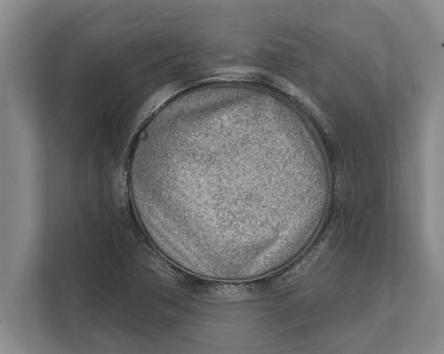 X0000111941362200908171248