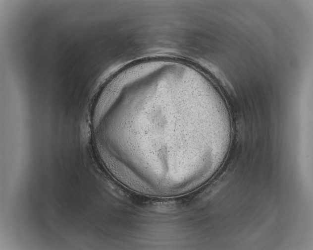 X0000111941363200908171248