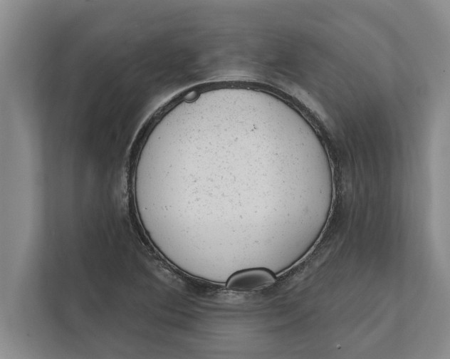 X0000111941364200908171248