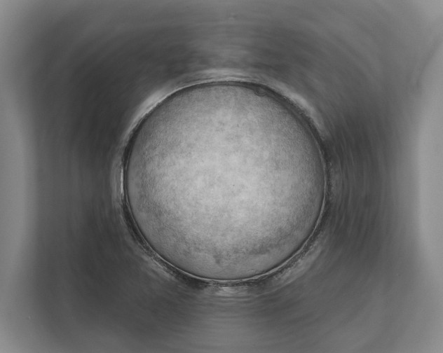 X0000111941365200908171248