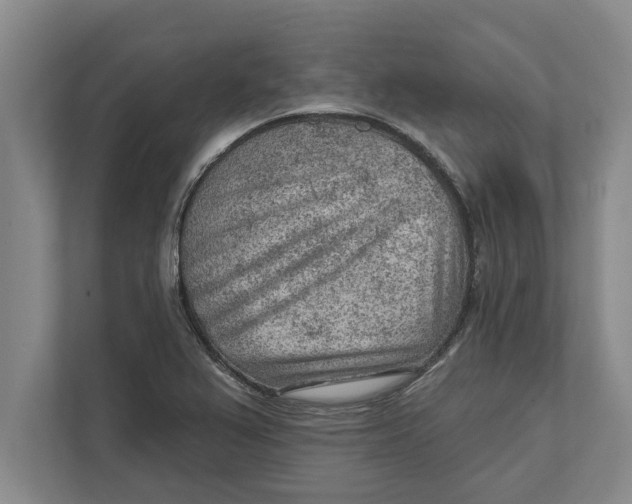 X0000111941367200908171248